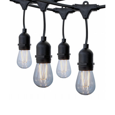 Bellville 15 - Bulb 48 in. Plug-in LED String Lights