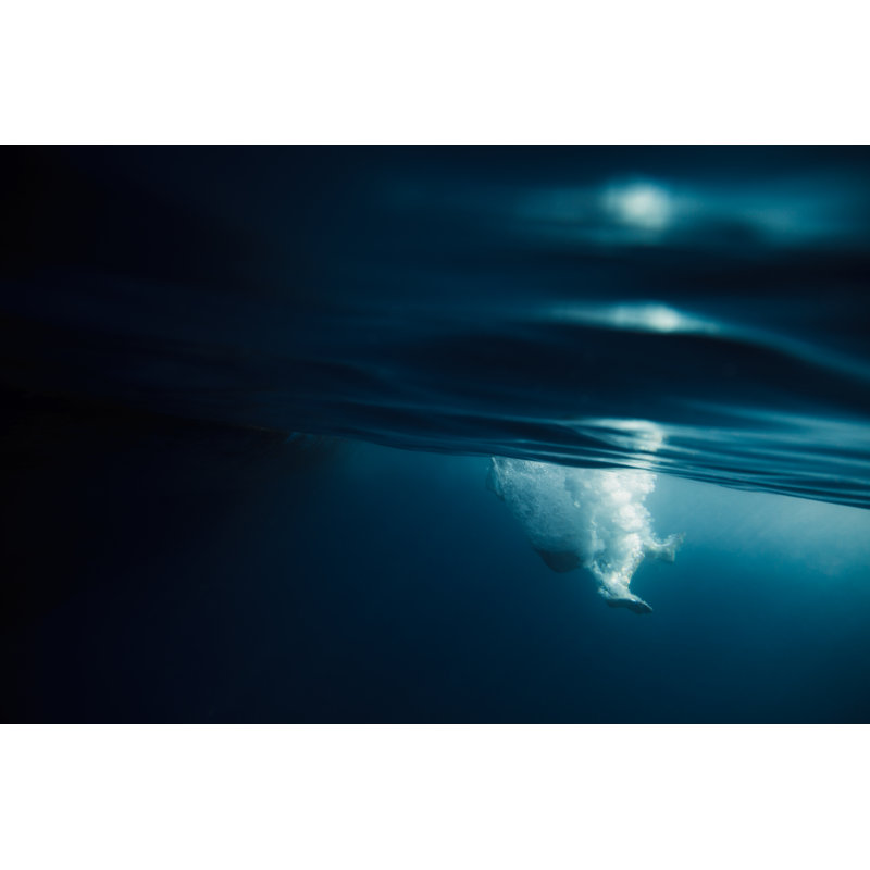 Jumping Into The Water by Nullplus - Wrapped Canvas Print, 30cm H x 46cm W x 3.8cm D
