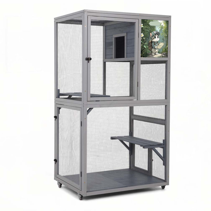 Enceinte d'extérieur pour chat Catio