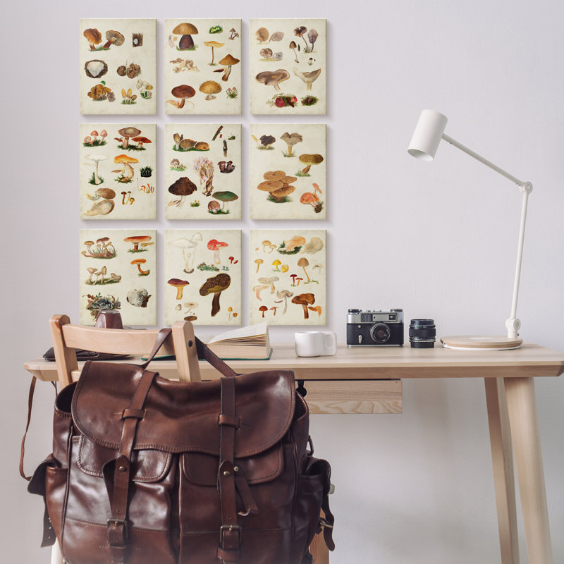 Schéma d'étude de divers végétaux rustiques variés par Vision Studio, L 11 po x H 14 po, Toile tendue