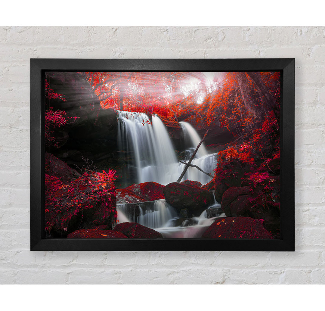 Red Forest Waterfall Delight Gerahmter Druck