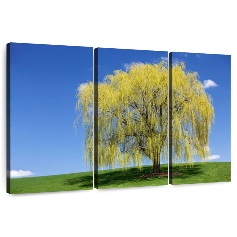 Harnek Spring Weeping Willow, 20" H x 33" W
