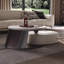 Table basse légère et luxueuse