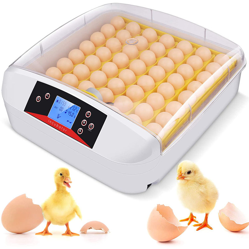 Andrejs 55 Eggs Chicken Egg Incubator