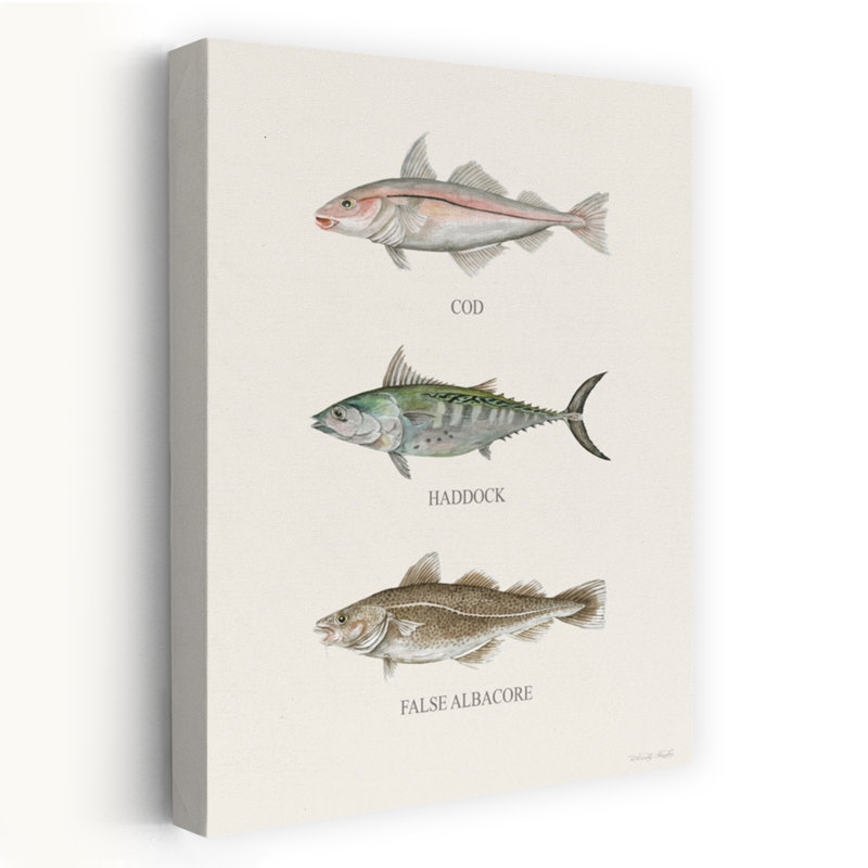 Fish Chart I - Contemporary Fish Species Chart Cod Fish Haddock Art, 48" H x 32" W