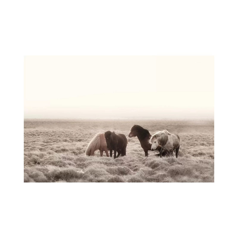 Iceland Wild Horses I by Monika Strigel - Wrapped Canvas Print, 20.32 cm H x 30.48 cm W