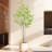 Artificial Ficus Tree, Large Simulated Ficus Tree With Smooth And Shiny Leaves-1084900320
