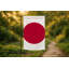 Drapeau du Japon - Drapeau extérieur-2089399038
