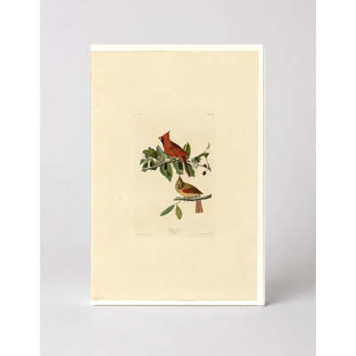 Cardinal Grosbeak, Plate 159 — Portrait Canvas Wall Art