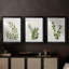 Botanical Wash I - Impression personnalisée de qualité supérieure avec cadre - 3 pièces-433050017-433050016