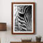 Zebra Colt - Photographie avec cadre photo-1635737524-1635737523