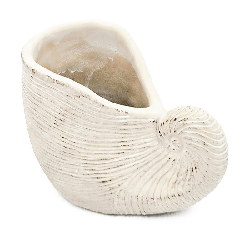 8.5X5.5X6.3 Inches Shell Planter Made From Sand And Cement, Beige Finish, Adds A Coastal Vibe To Attics Textured Cement Planter, Suitable For Planting