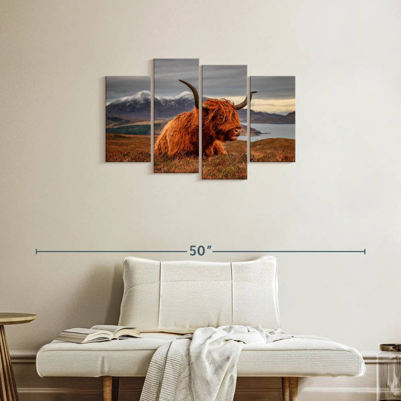 Brampt Highland Cow sentant le vent, H 22 po x l 36 po