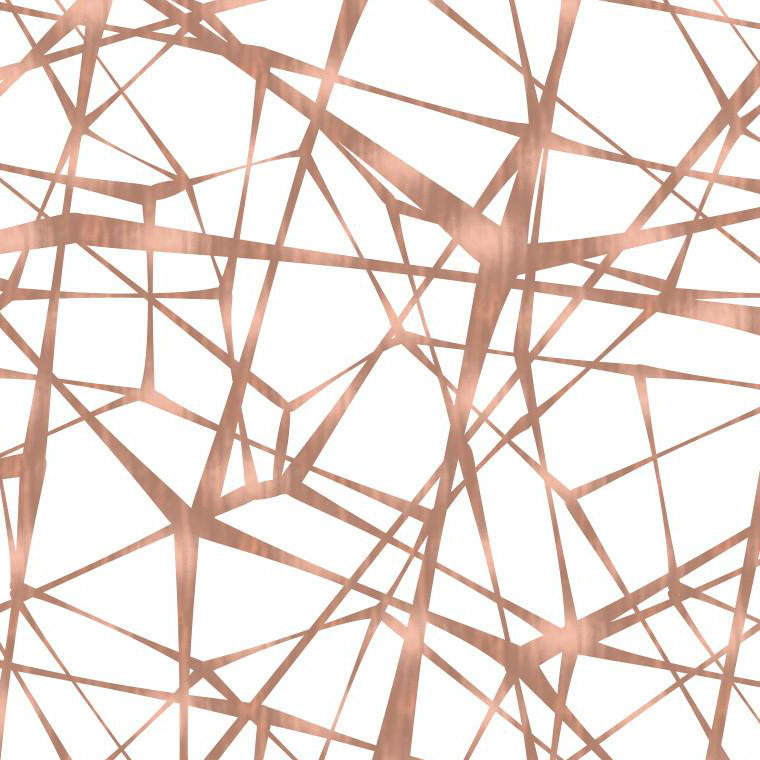 Web Geometric Fabric Peel & Stick Matte Wallpaper Roll by Jamie Graney, Rose/Gold