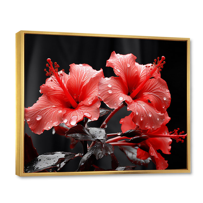 Hibiscus Attallah vibrant corail - imprimé, H 30 po x l 40 po x P 1,5 po, Cadre flottant doré