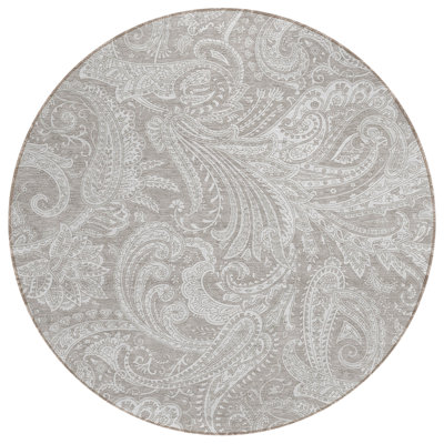 Cresley Paisley Indoor / Outdoor Rug