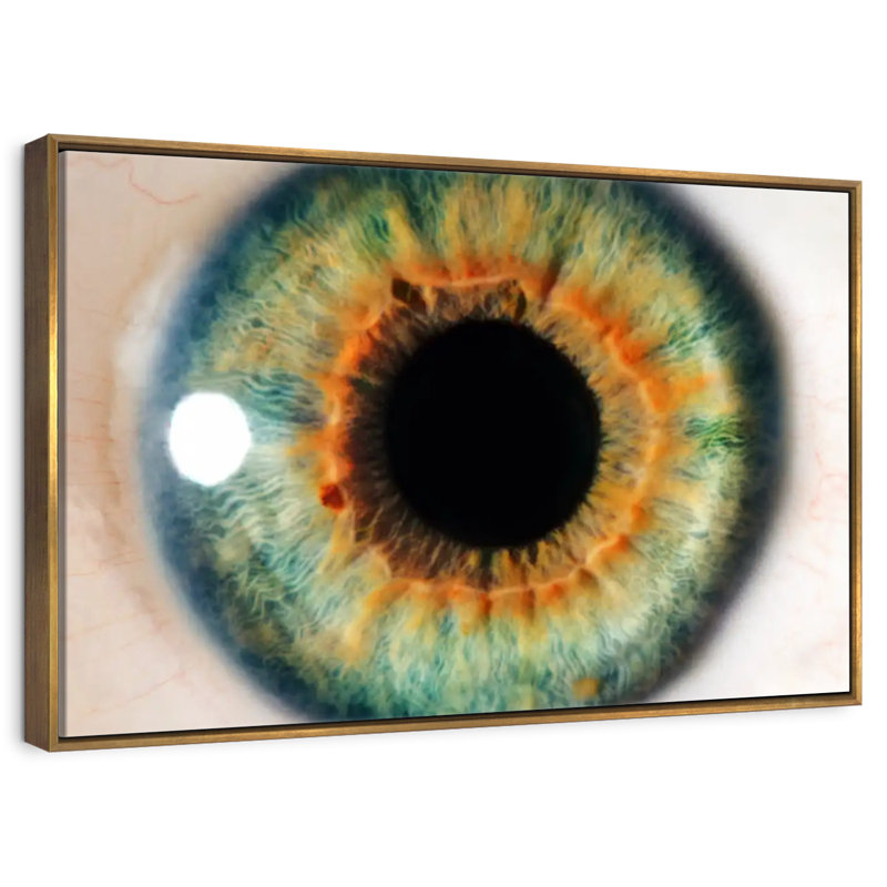 Green Eye, Floating Frame Gold, 40" X 27"