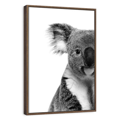 Lovable Koala Bear