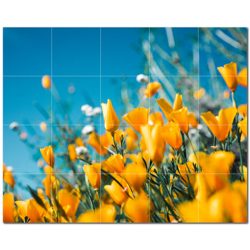 Photo de printemps 8 x 8