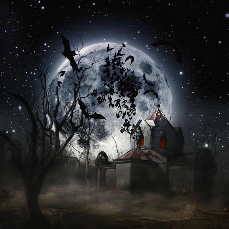 Frederiksen Halloween par - impression sur toile tendue, H 30 po x l 30 po