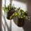 Jardinières murales suspendues pour plantes d'intérieur, pots de fleurs suspendus pour plantes grasses, ensemble de 2, 5,7 L * 4,1 l * 7 H, rouille de fer