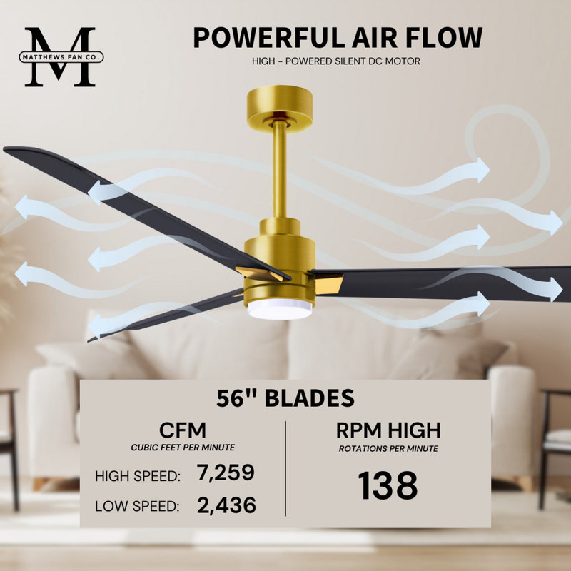Alessandra - Three Blade Transitional Ceiling Fan -LED, 56", Brushed Brass, Matte Black