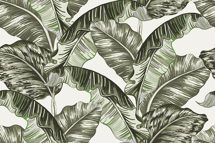 Callier 2.5m x 2.5m Matte Mural, 416 x 254cm