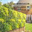 Artificial Hedge