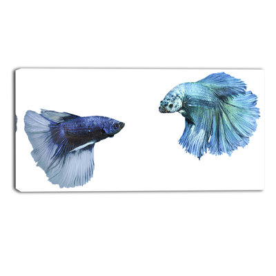 Fighting Fish, impression numérique sur toile tendue