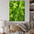 Toile tendue