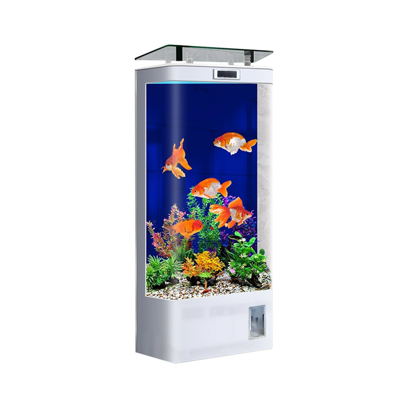 Aquarium 30-38 gallons, H 54,33 po x l 19,69 po x P 15,75 po, Blanc