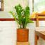 Vase en plastique 8 po