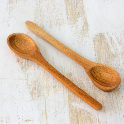 Lender Serving Spoon