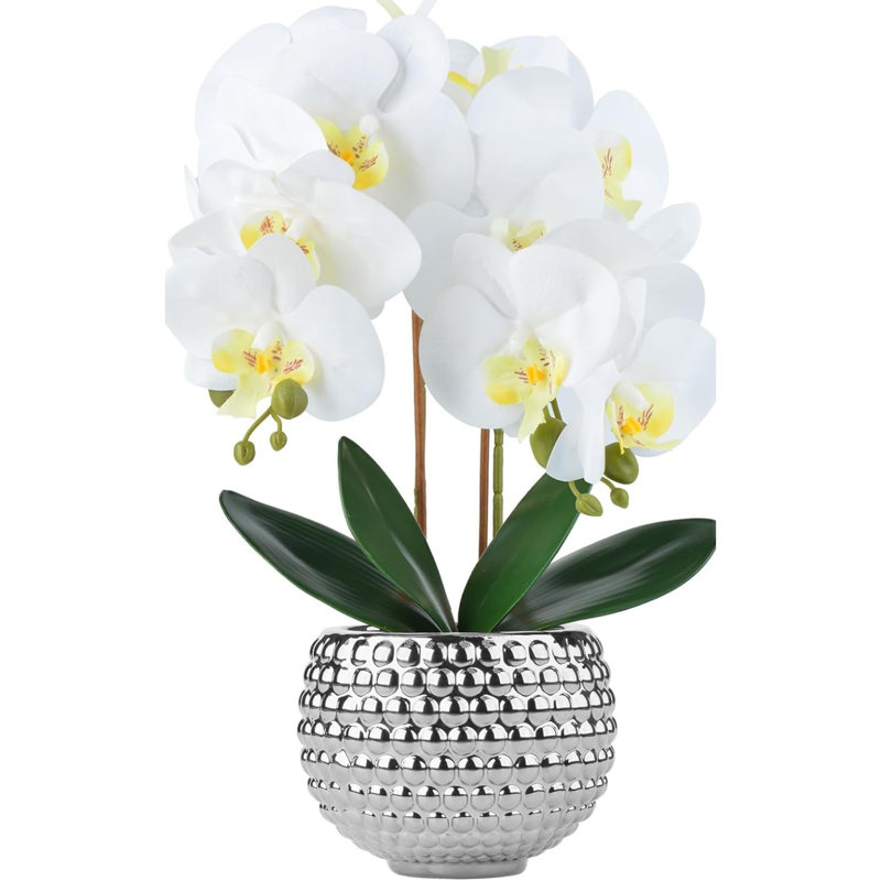 Large White Artificial Orchids With Gold Pot