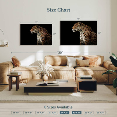 Jaguar de minuit Brampt