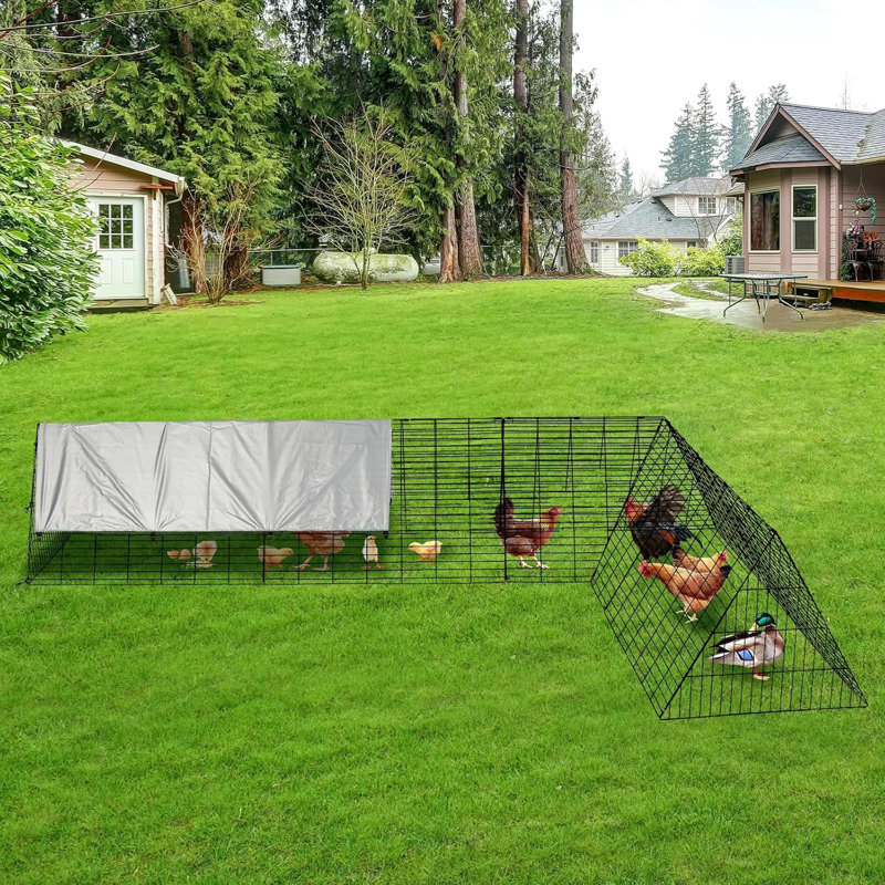 Chicken Run with Wire Mesh