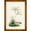 African Palms Giclee Print