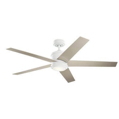 Brahm 56'' Ceiling Fan with LED Lights