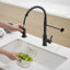 Robinet de cuisine rétractable-125337695