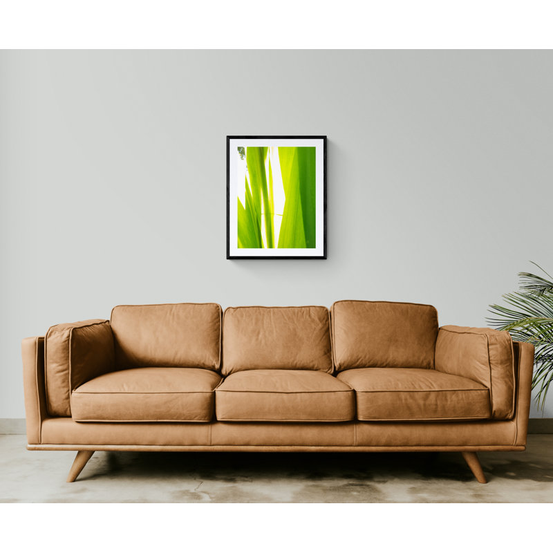 Sunkissed _ 3595 Print by Petra Trimmel, Black Framed Paper, 31.2" H x 25.2" W