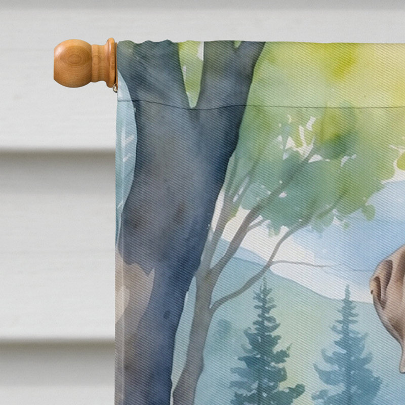 Geting Double Sided 40'' H x 28'' W Polyester House Flag