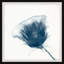 Collect Beautiful Moments by Marmont Hill - Single Picture Frame Painting-2115235415
