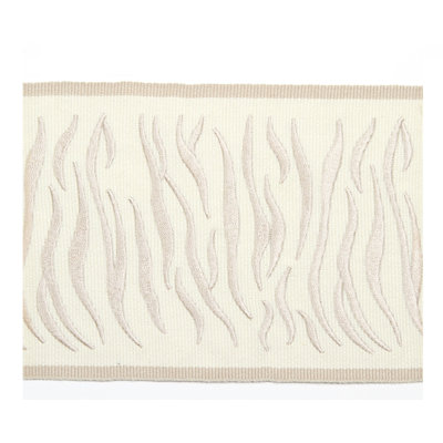 Tissu osseux hannah