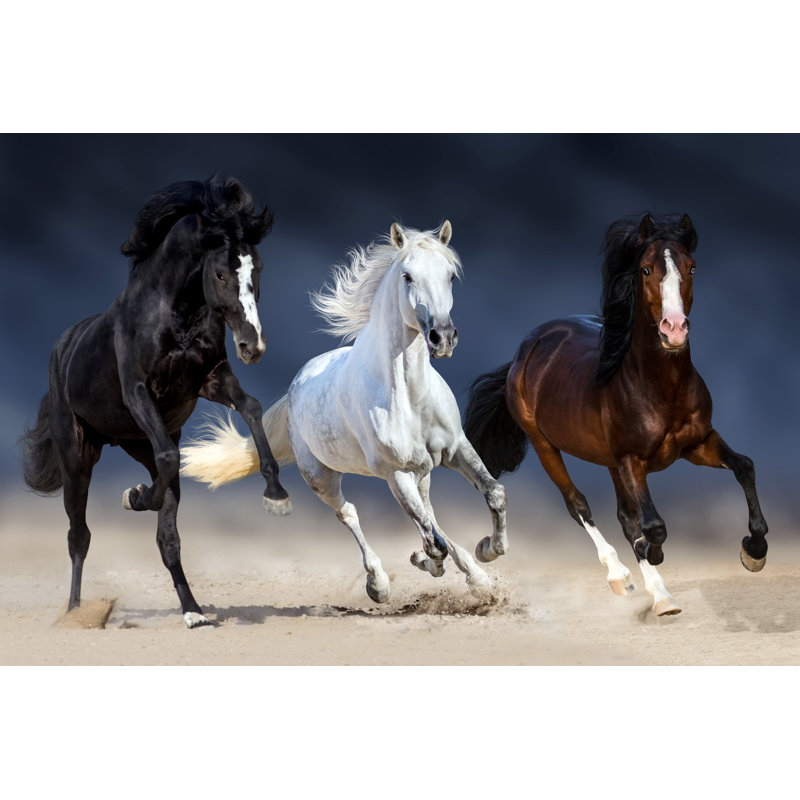 Three Horse Run by Callipso - Wrapped Canvas Print, 81cm H x 122cm W 