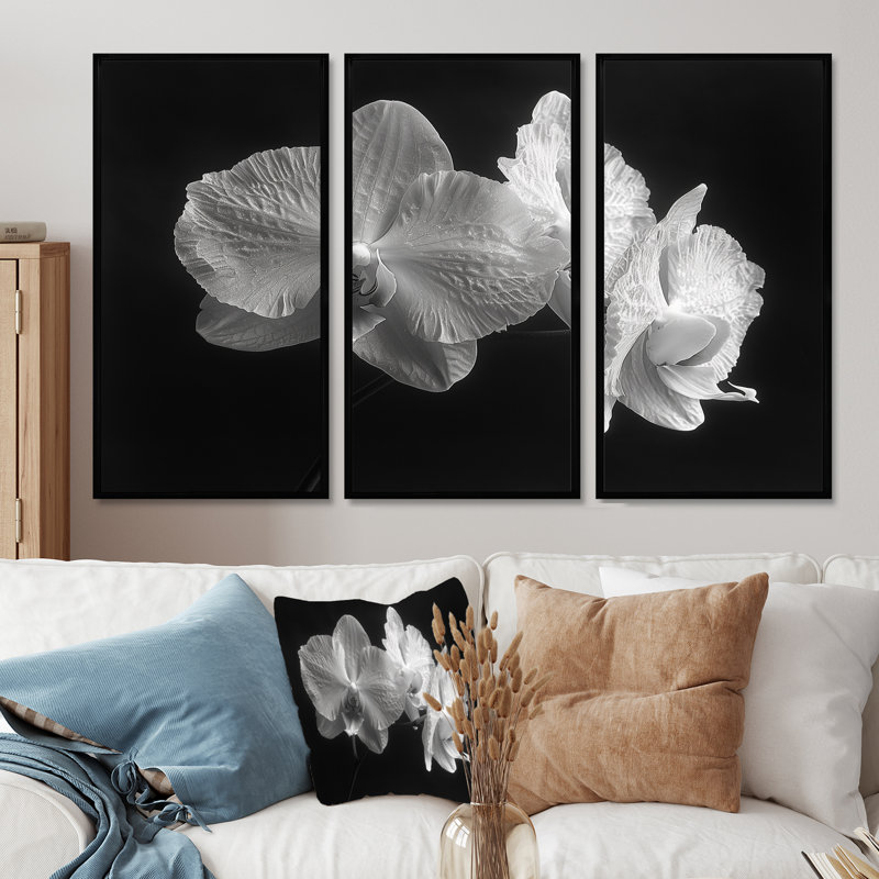 Ensemble de salon Roddy - Orchids Wall Art, H 28 po x l 36 po x P 1 po, Toile avec cadre flottant noir