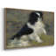 Tama, le chien japonais, v. 1876 - Pierre-Auguste Renoir, toile tendue avec châssis-132875032-132875037