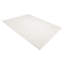 Elizabeth Area Rug in Ivory-93536335