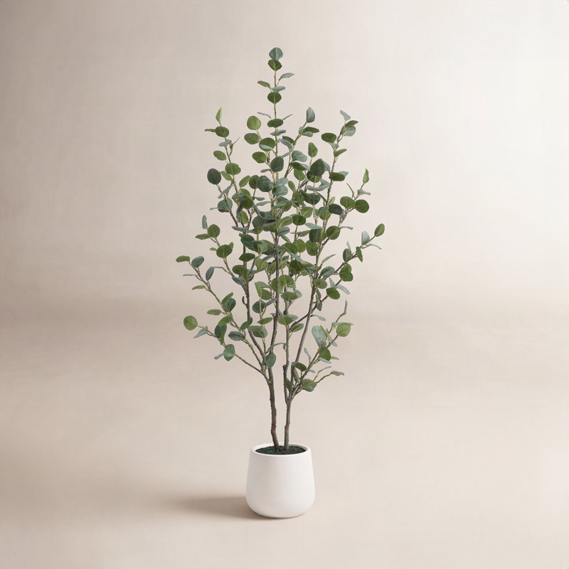 Adalia Artificial Eucalyptus Tree in White Planter, 60" H x 20" W x 20" D