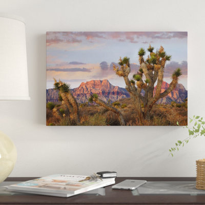 «Joshua Tree And Spring Mountains At Red Rock Canyon National aire de conservation près de Las Vegas, Nevada» par Tim Fitzharris - impression sur toile tendue sur châssis