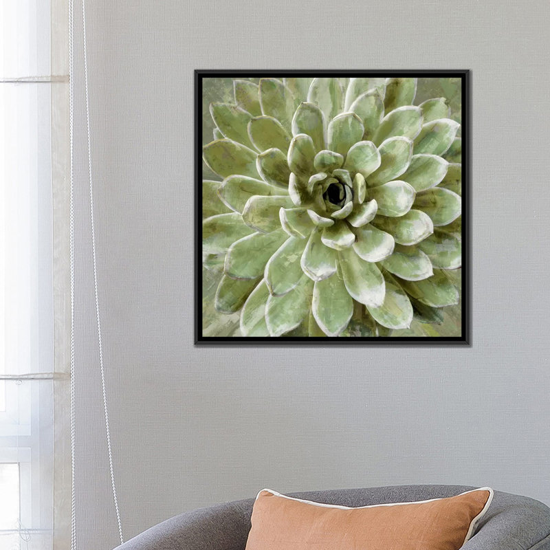 «Succulent VI», impression sur toile, H 18 po x l 18 po x P 1,5 po, Toile avec cadre noir, Pas de tapis